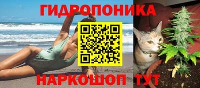 молекула духа Ливны