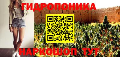 молекула духа Ливны